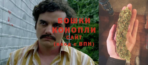 хмурый Зеленокумск