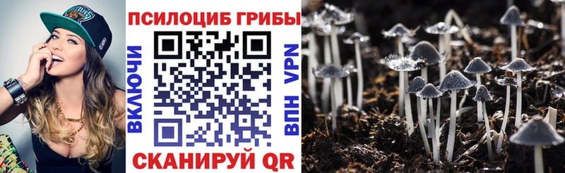 Галлюциногенные грибы прущие грибы  Купить  Боровск 